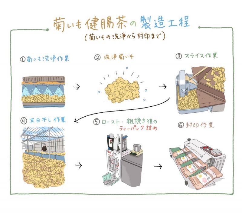 菊芋健腸茶の製造過程